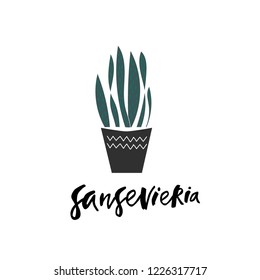 Hand drawn vector succulents. Lettering.