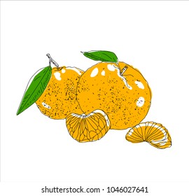 Hand drawn vector summer citrus. Lemon sketch. Linear illustration.