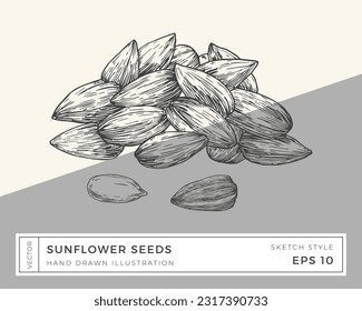 Hand Drawn Vector Sunflower Seeds Illustration. Vegan Based Food Drawing with Colorful Background. Isolated