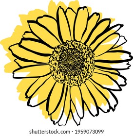 Hand drawn vector sunflower with yellow background.
