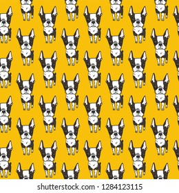 Hand drawn vector surface pattern with cute boston terrier dogs on yellow background. Cartoon black and white puppies ornament. Could be used for wrapping paper, textile, kids fashion.
