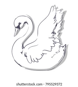 Hand Drawn Vector Swan sketch illustration