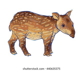 Hand drawn vector tapir