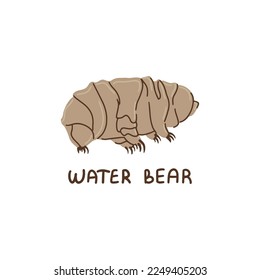 Hand drawn vector tardigrade isolated on white background.