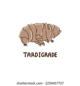 Hand drawn vector tardigrade isolated on white background.