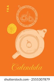 Hand drawn vector tea poster. Calendula marigold tea design with a top view tea mug, tea pot and lemon. Illustration ready to be used in online and print projects for bar or cafes.