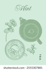 Hand drawn vector tea poster. Illustration with a top view mint tea mug and pot. Design ready to be used in online and print projects for bar or cafes such as menus or posters.