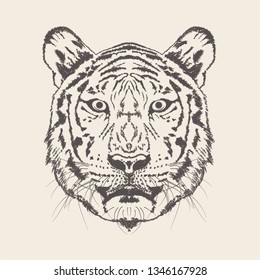 Hand drawn vector of tiger Illustration