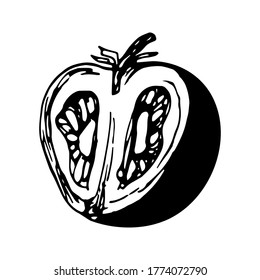 Tomate vector dibujado a mano en parrilla de verano, fiesta de barbacoa. Ilustración vectorial para libro culinario, menú de restaurante, café, diseño de comida, ventanas de tiendas. Aislado sobre blanco