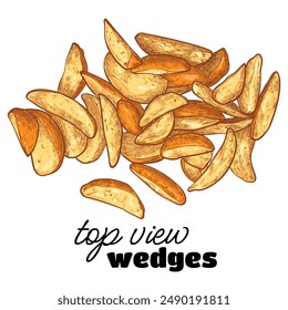 Hand drawn vector top view wedges. Tasty yellow orange crispy wedges with outline, fill, details in separate groups. The middle wedges are merged. This asset is ready to use and easy to edit. 