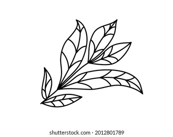 Hand drawn vector tree branch monoline. Black leaf herb silhouette isolated on white background. Botanical illustration for print, wedding card, invitation card, floral poster.