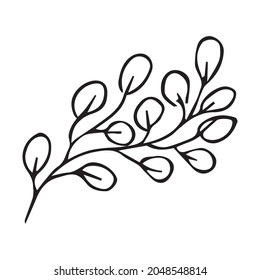 Hand drawn vector tree branch. Black herb silhouette isolated on white background. Botanical illustration for print, web, design, decor, logo.