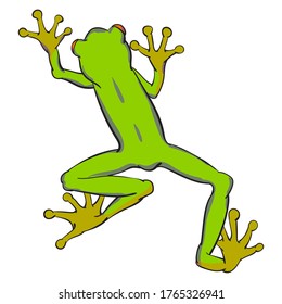 Hand drawn vector of tree frog isolated on white background. Original stock illustration of amphibian.