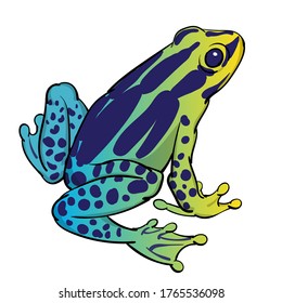 Hand drawn vector of tree frog isolated on white background. Original stock illustration of amphibian.