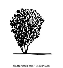 Hand drawn vector tree ink sketch.
