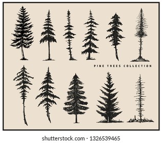 Hand Drawn Vector Trees Nature 
