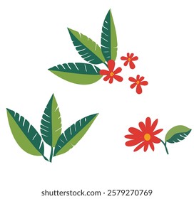 Hand Drawn Vector Tropical Bloom