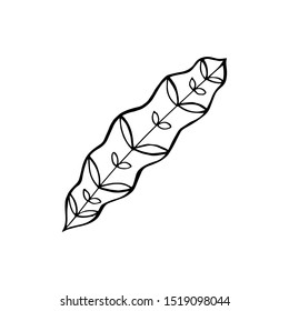Hand drawn vector tropical leave icons. Coloring book illustration.