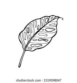 Hand drawn vector tropical leave icons. Coloring book illustration.