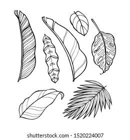 Hand Drawn Vector Tropical Leave Icons. Coloring Book Illustration