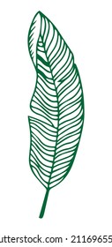 Iconos de baja tropical con vector dibujado a mano. Ilustración del libro de coloreado.