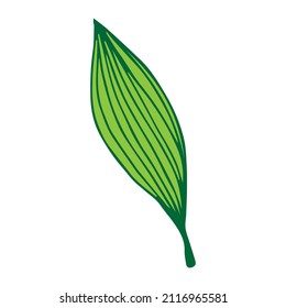 Hand drawn vector tropical leave icons. Coloring book illustration.