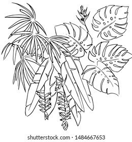 Hand drawn Vector Tropical leaves illustration.
