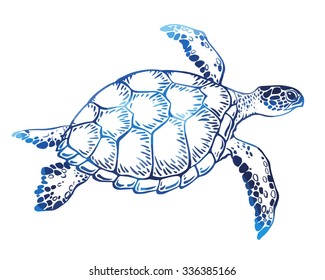 14,344 Turtle Swimming Vector Images, Stock Photos & Vectors | Shutterstock