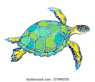 Hand drawn vector turtle