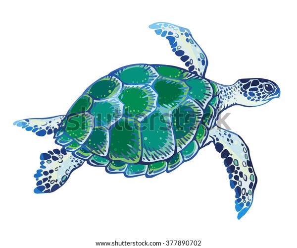 Hand Drawn Vector Turtle Stock Vector (Royalty Free) 377890702 ...