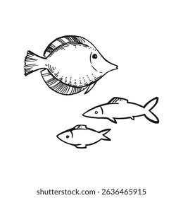hand drawn vector underwater fish, black and white ink silhouette of exotic tropical fish, sketch of sea wildlife, engraving textured illustration of undersea animal for marine picture, decoration