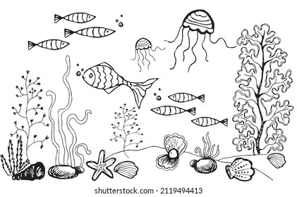 Hand drawn vector underwater life sketch with fishes, guppy, jellyfish, shell.