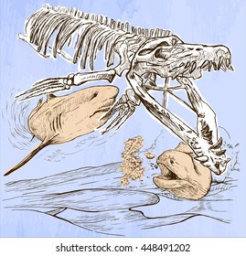 An hand drawn vector - Underwater PREHISTORY. Tylosaurus skeleton, Shark and Giant Moray - line art. Vector is editable in groups and layers - freehand sketching.