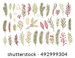 Hand drawn vector vintage elements ( laurel, leaf, poinsettia, holly, berry, pine cone). Christmas branches. Perfect for invitations, greeting cards, posters, prints