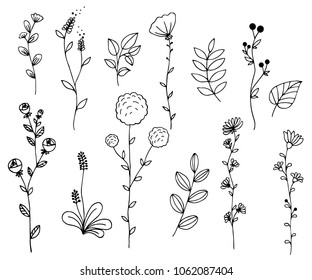 Hand drawn of vector vintage elements wild flowers and leaves collection. For invitations, greeting cards, quotes, blogs, posters.