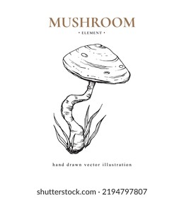 Hand drawn vector vintage illustration with mushroom. Design element for autumn, halloween, harvest, thanksgiving, cosmetics. Can be used for menu, poster, cover, card, invitation.