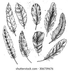 Hand drawn vector vintage illustration - Feathers. Ink and feather