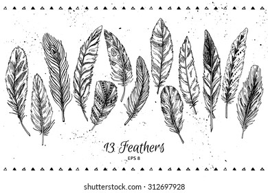 Hand drawn vector vintage illustration - Feathers. Ink and feather