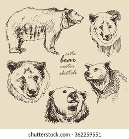 hand drawn vector vintage illustration of a bear, sketch animals bears old paper