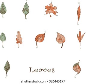 Hand Drawn vector vintage leaves elements. Set of autumn leaves. You can make your vintage brushes, frames and other design elements