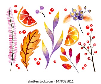 Hand drawn vector watercolor forest leaves and berries. Isolated icons. Autumn abstract botanical branches. Guelder, pumpkin, dog rose. Season greetings, wedding card, sale banner