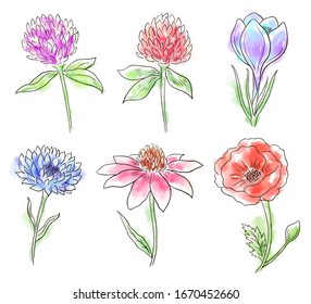 Dibujo de flores silvestres aisladas con vectores dibujados a mano, elemento de diseño artístico