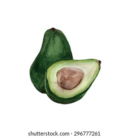 hand drawn vector watercolour avocado