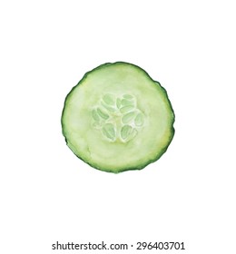 hand drawn vector watercolour sliced cucumber