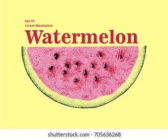 Hand drawn vector watermelon illustration. Slice of watermelon.