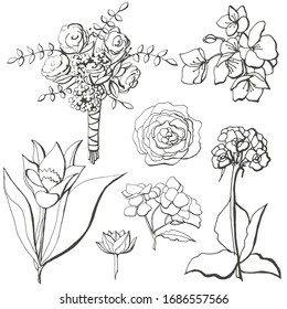 handgezeichnete Hochzeitsblumenmenge der Vektorillustration
