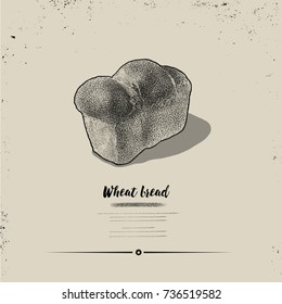 Hand drawn. vector Wheat bread illustration. Sketch vintage style. Design template. 