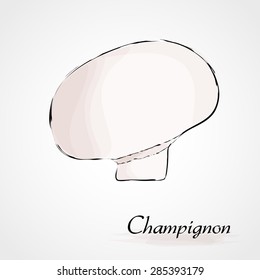 Hand drawn vector white ripe champignon mushroom on the light background