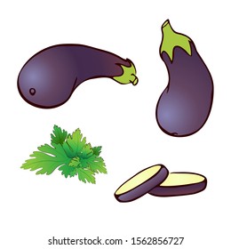 Hand drawn vector whole, sliced eggplant set isolated on white background. purple realistic Aubergine icon with parsley. colorful vintage vegetable sketch for logo, package design. farm market product