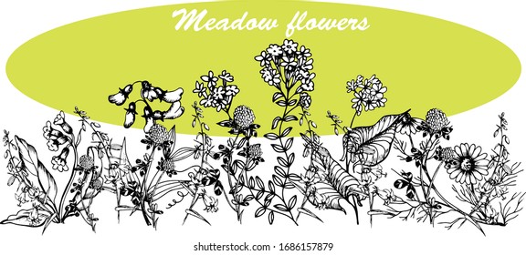 Handgezeichnete Vektorillustration mit wilden Blumen, Hintergrund.